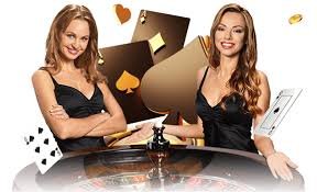 cv666 casino